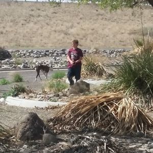 Meet your Posher, Jamie